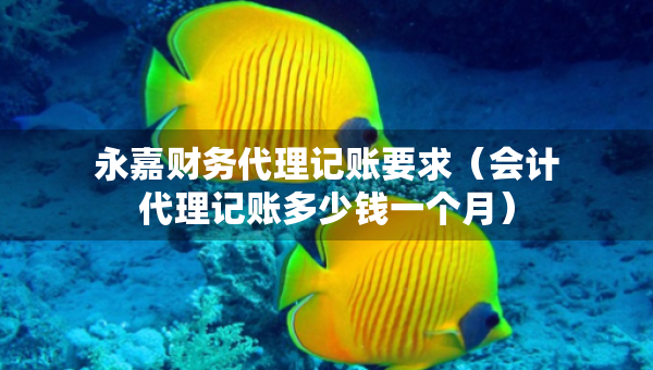 永嘉财务代理记账要求（会计代理记账多少钱一个月）