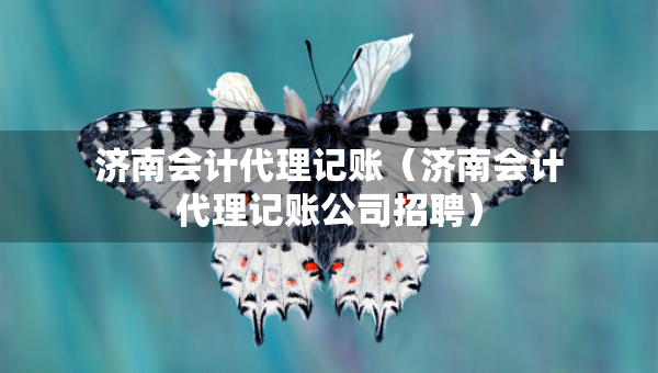 济南会计代理记账（济南会计代理记账公司招聘）