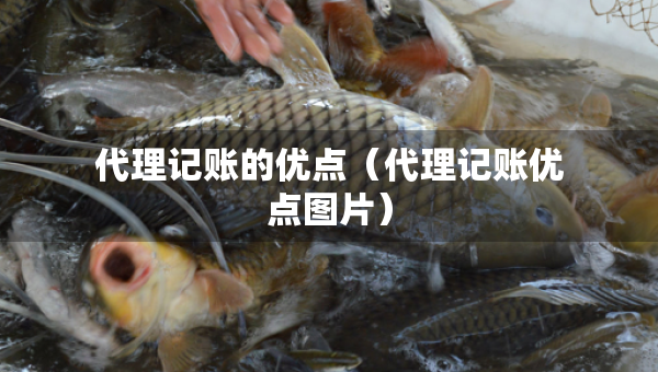 代理记账的优点（代理记账优点图片）