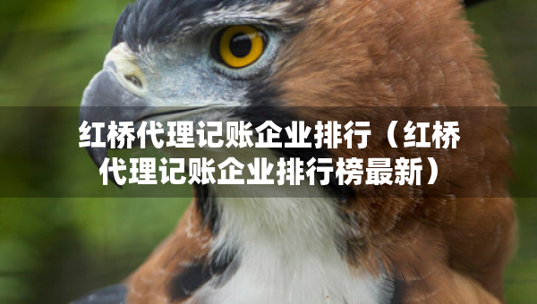红桥代理记账企业排行（红桥代理记账企业排行榜最新）