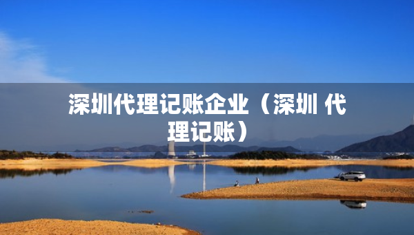 深圳代理记账企业（深圳 代理记账）