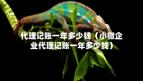 代理记账一年多少钱（小微企业代理记账一年多少钱）