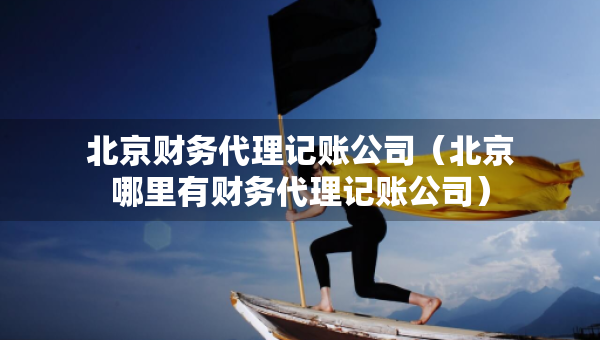 北京财务代理记账公司（北京哪里有财务代理记账公司）