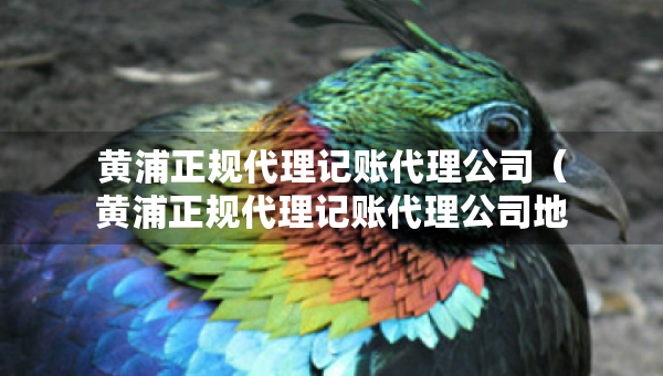 黄浦正规代理记账代理公司（黄浦正规代理记账代理公司地址）
