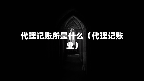 代理记账所是什么（代理记账业）