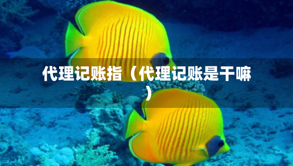 代理记账指（代理记账是干嘛）
