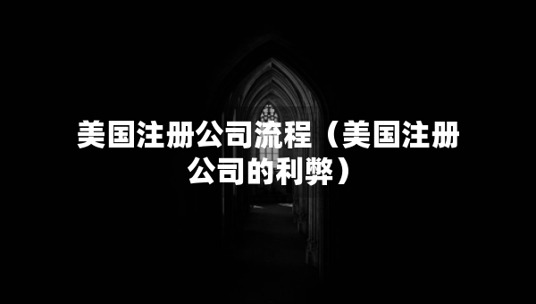 美国注册公司流程（美国注册公司的利弊）