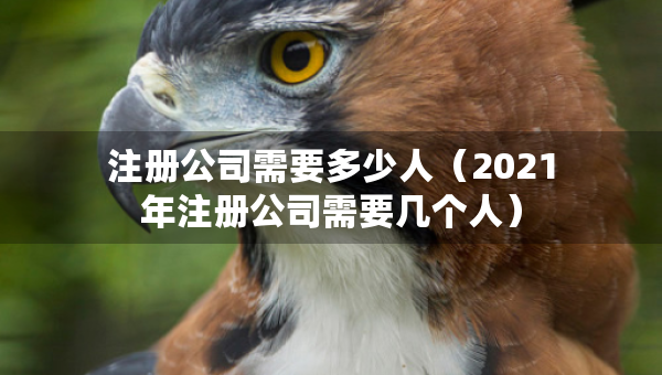 注册公司需要多少人（2021年注册公司需要几个人）