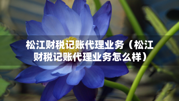 松江财税记账代理业务（松江财税记账代理业务怎么样）