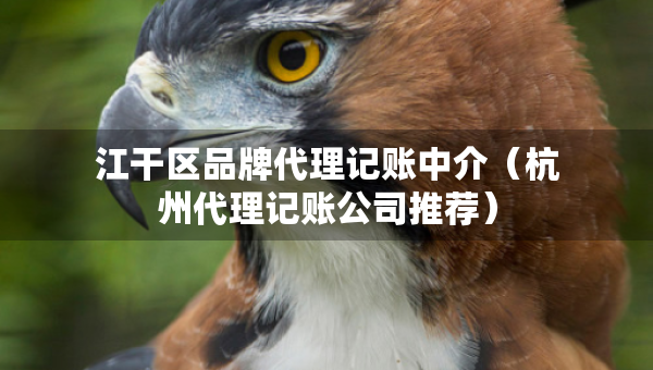江干区品牌代理记账中介（杭州代理记账公司推荐）
