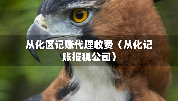 从化区记账代理收费（从化记账报税公司）