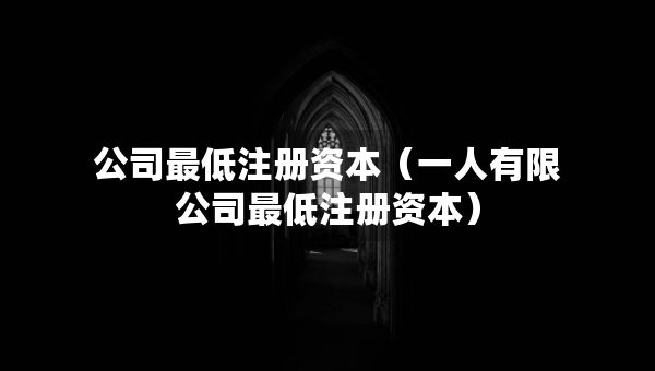 公司最低注册资本（一人有限公司最低注册资本）