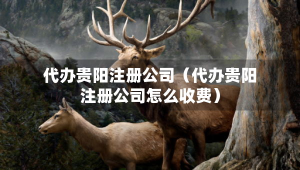 代办贵阳注册公司（代办贵阳注册公司怎么收费）