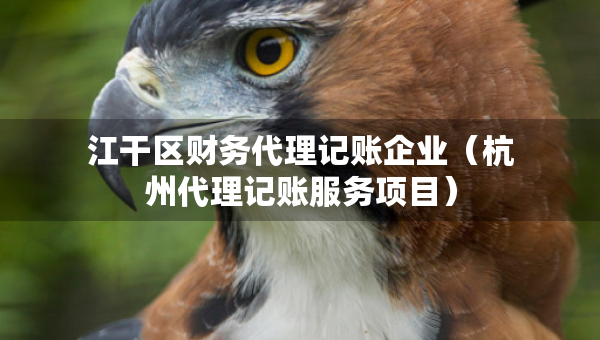 江干区财务代理记账企业（杭州代理记账服务项目）