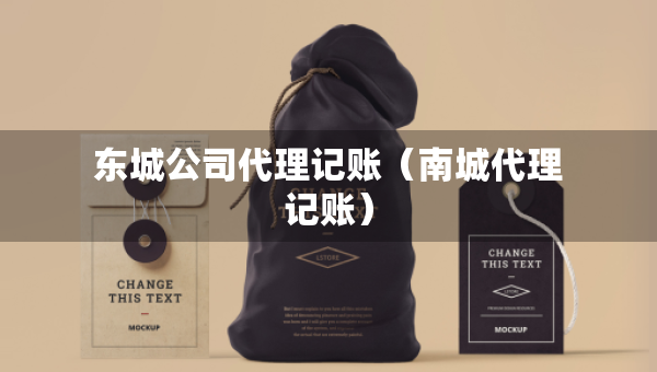 东城公司代理记账（南城代理记账）