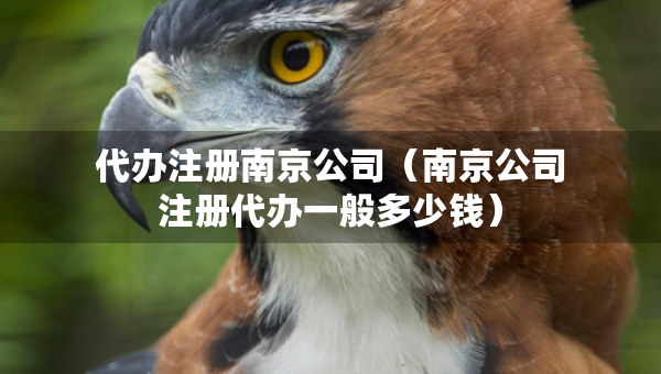 代办注册南京公司（南京公司注册代办一般多少钱）