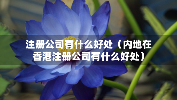 注册公司有什么好处（内地在香港注册公司有什么好处）