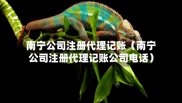 南宁公司注册代理记账（南宁公司注册代理记账公司电话）