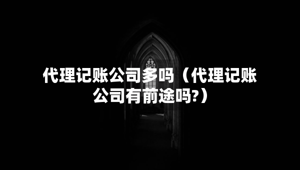 代理记账公司多吗（代理记账公司有前途吗?）