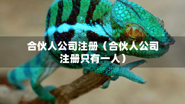 合伙人公司注册（合伙人公司注册只有一人）