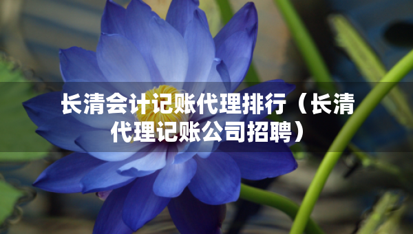 长清会计记账代理排行（长清代理记账公司招聘）