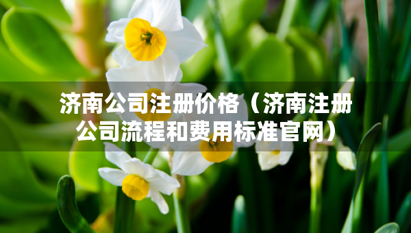 济南公司注册价格（济南注册公司流程和费用标准官网）