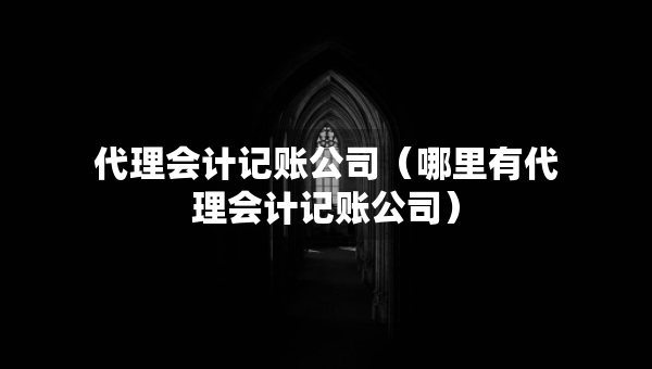 代理会计记账公司（哪里有代理会计记账公司）