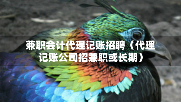 兼职会计代理记账招聘（代理记账公司招兼职或长期）
