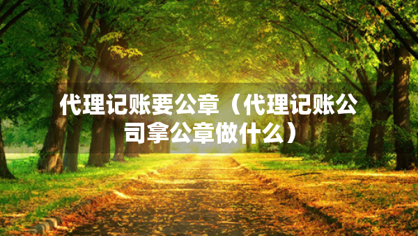 代理记账要公章（代理记账公司拿公章做什么）
