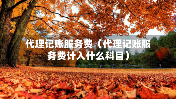 代理记账服务费（代理记账服务费计入什么科目）