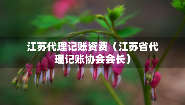 江苏代理记账资费（江苏省代理记账协会会长）