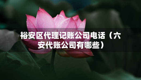 裕安区代理记账公司电话（六安代账公司有哪些）
