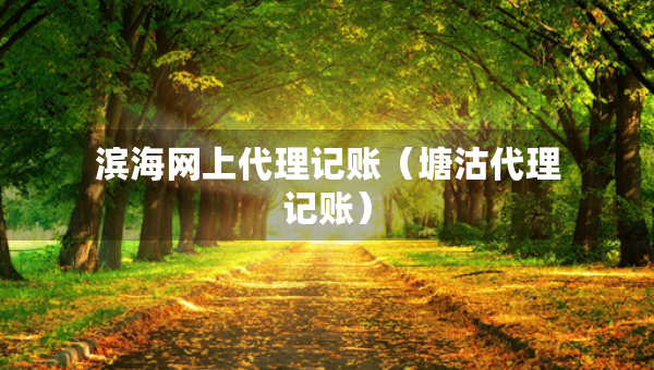 滨海网上代理记账（塘沽代理记账）