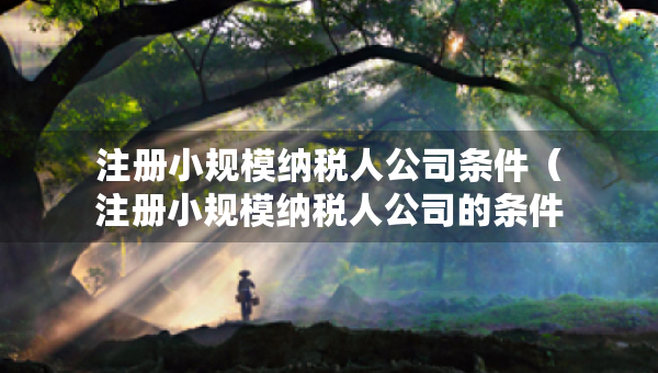 注册小规模纳税人公司条件（注册小规模纳税人公司的条件）