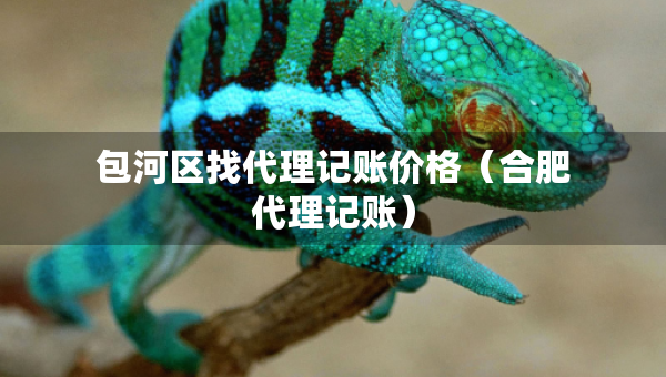 包河区找代理记账价格（合肥代理记账）