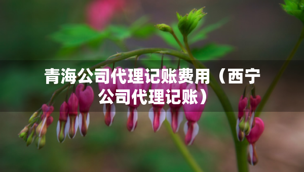 青海公司代理记账费用（西宁公司代理记账）