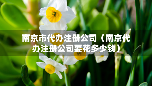 南京市代办注册公司（南京代办注册公司要花多少钱）