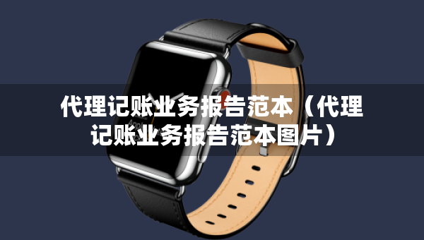 代理记账业务报告范本（代理记账业务报告范本图片）