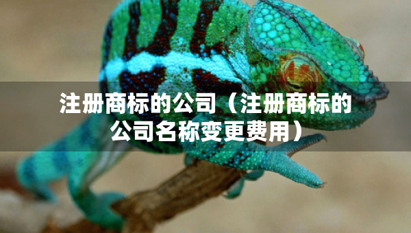 注册商标的公司（注册商标的公司名称变更费用）
