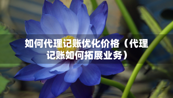 如何代理记账优化价格（代理记账如何拓展业务）