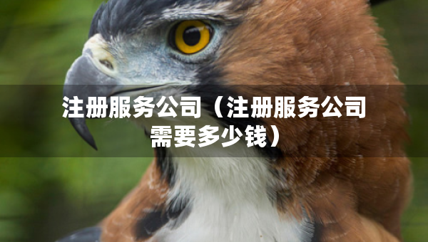 注册服务公司（注册服务公司需要多少钱）