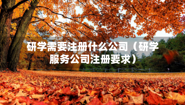 研学需要注册什么公司（研学服务公司注册要求）