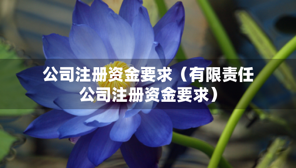 公司注册资金要求（有限责任公司注册资金要求）