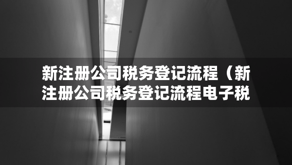 新注册公司税务登记流程（新注册公司税务登记流程电子税务局）