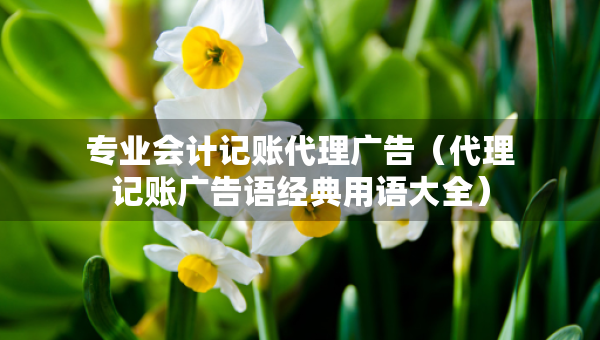 专业会计记账代理广告（代理记账广告语经典用语大全）