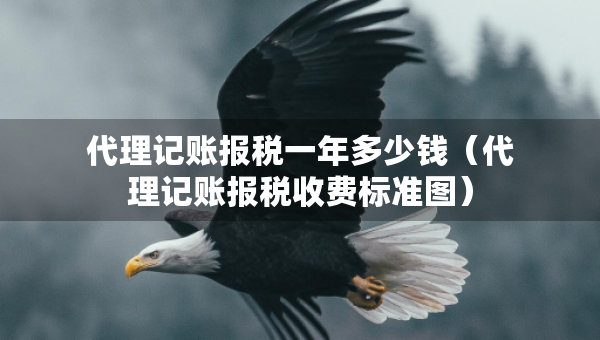 代理记账报税一年多少钱（代理记账报税收费标准图）