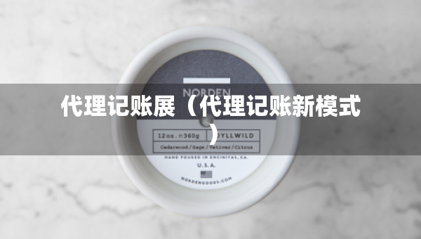 代理记账展（代理记账新模式）