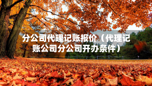 分公司代理记账报价（代理记账公司分公司开办条件）