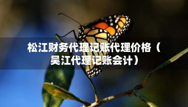 松江财务代理记账代理价格（吴江代理记账会计）