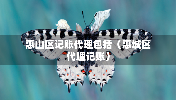 惠山区记账代理包括（惠城区代理记账）